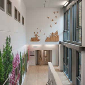 Completed: Farnham Road Hospital : Surrey and Borders Partnership NHS ...